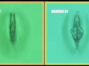 hannah - zbrush vdm- obj- female anatomy 3D Print Model