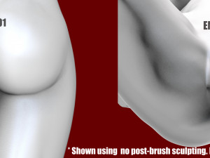 EMMA - zbrush VDM- OBJ- female anatomy Modello di stampa 3D