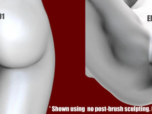 EMMA - zbrush VDM- OBJ- female anatomy 3D Print Model