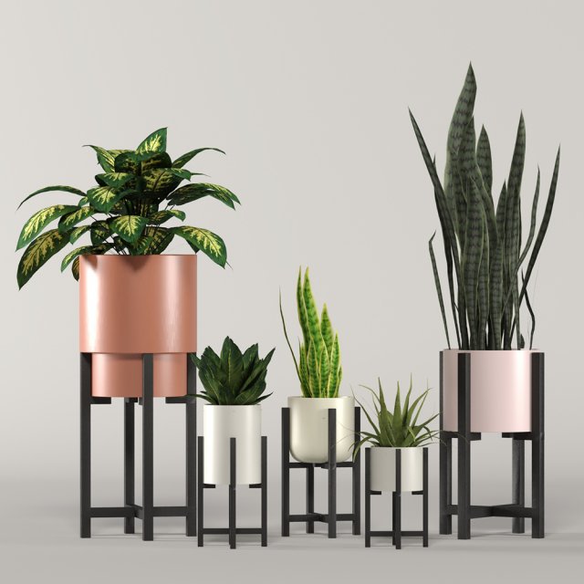 stratton home decor plant box collection Modelo 3D .c4d .max .obj .3ds .fbx .stl .blend 