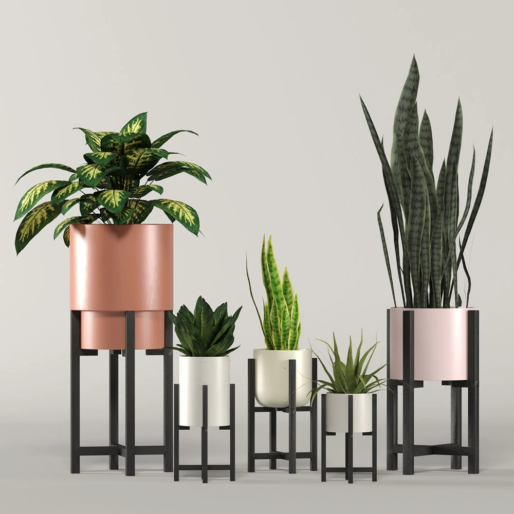 stratton home decor plant box collection 3D Model .c4d .max .obj .3ds .fbx .stl .blend 