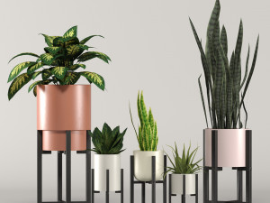 stratton home decor plant box collection 3D Model