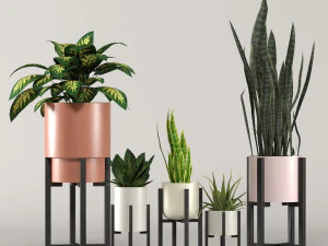 ストラットン ホームデコレーション プラントボックスコレクション 3Dモデル