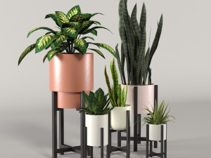 stratton home decor plant box collection Modelo 3D
