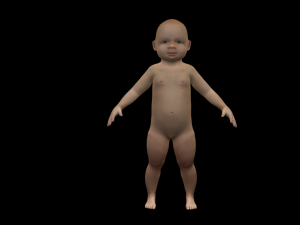 baby 3D मॉडल