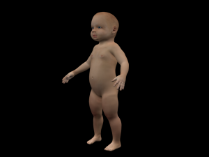 baby 3D मॉडल