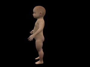baby 3D मॉडल