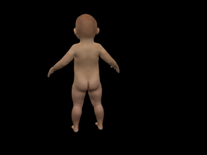 baby 3D मॉडल