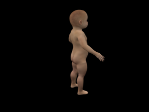 baby 3D मॉडल