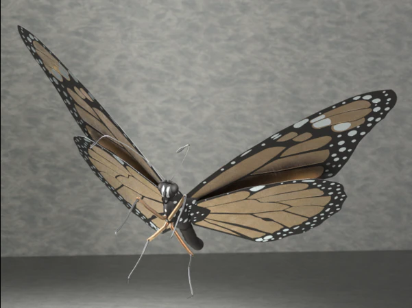 Monarch butterfly 3D Model .c4d .max .obj .3ds .fbx .stl .blend 