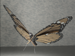 Monarch butterfly Modello 3D