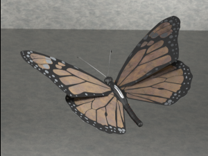 Monarch butterfly Modello 3D