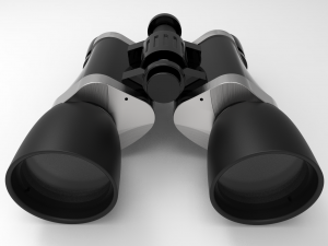 binocular with lens plugs 3D Model