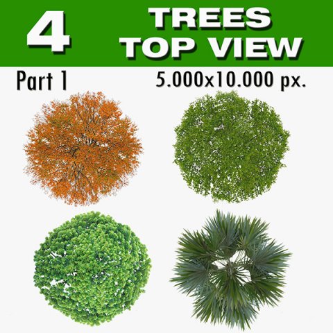 top view trees-part 1 CG Textures .c4d .max .obj .3ds .fbx .stl .blend 