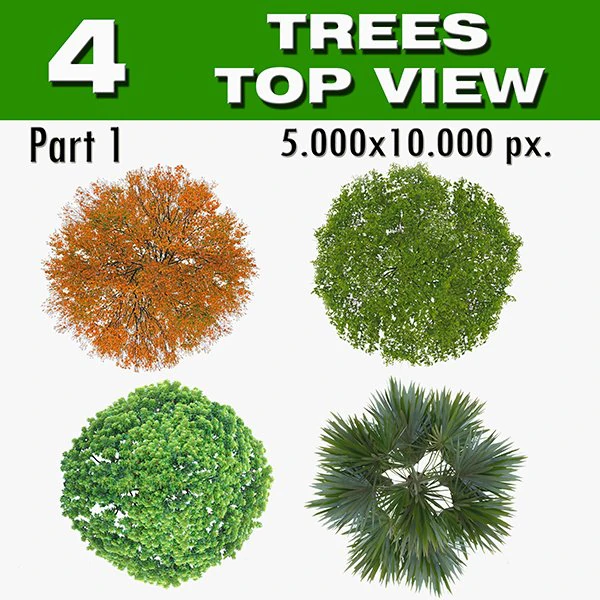 vista dall'alto degli alberi-parte 1 CG Textures .c4d .max .obj .3ds .fbx .stl .blend 