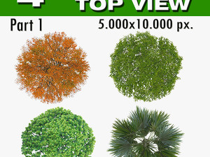 top view trees-part 1 CG Textures