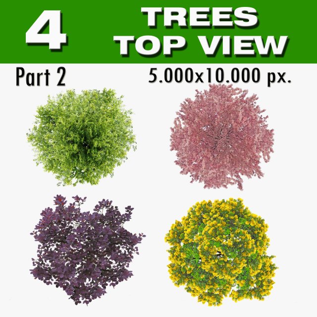top view trees-part 2 Texturas CG .c4d .max .obj .3ds .fbx .stl .blend 