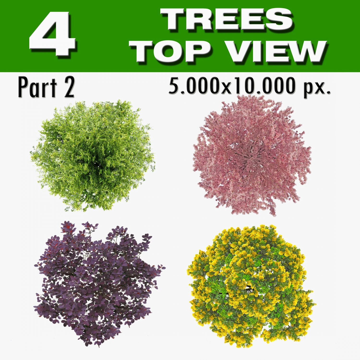 top view trees-part 2 CG Textures .c4d .max .obj .3ds .fbx .stl .blend 