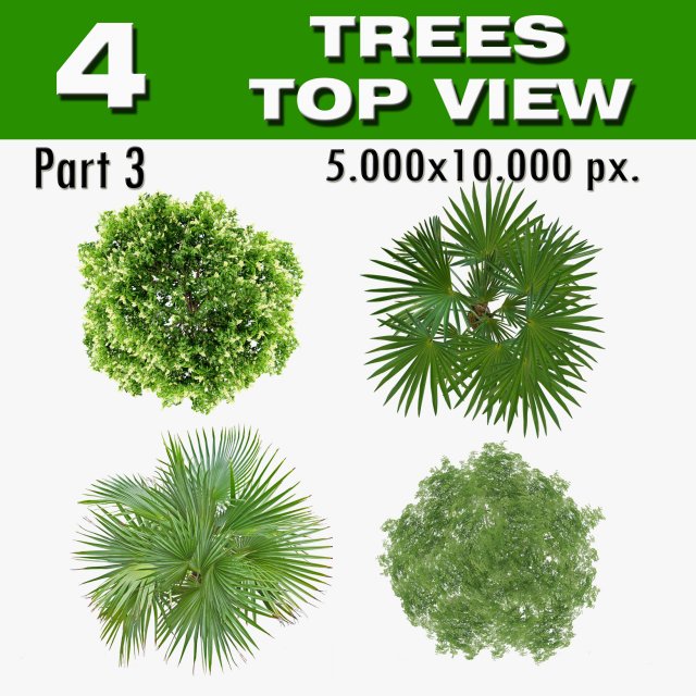 top view trees-part 3 CG 텍스쳐 .c4d .max .obj .3ds .fbx .stl .blend 