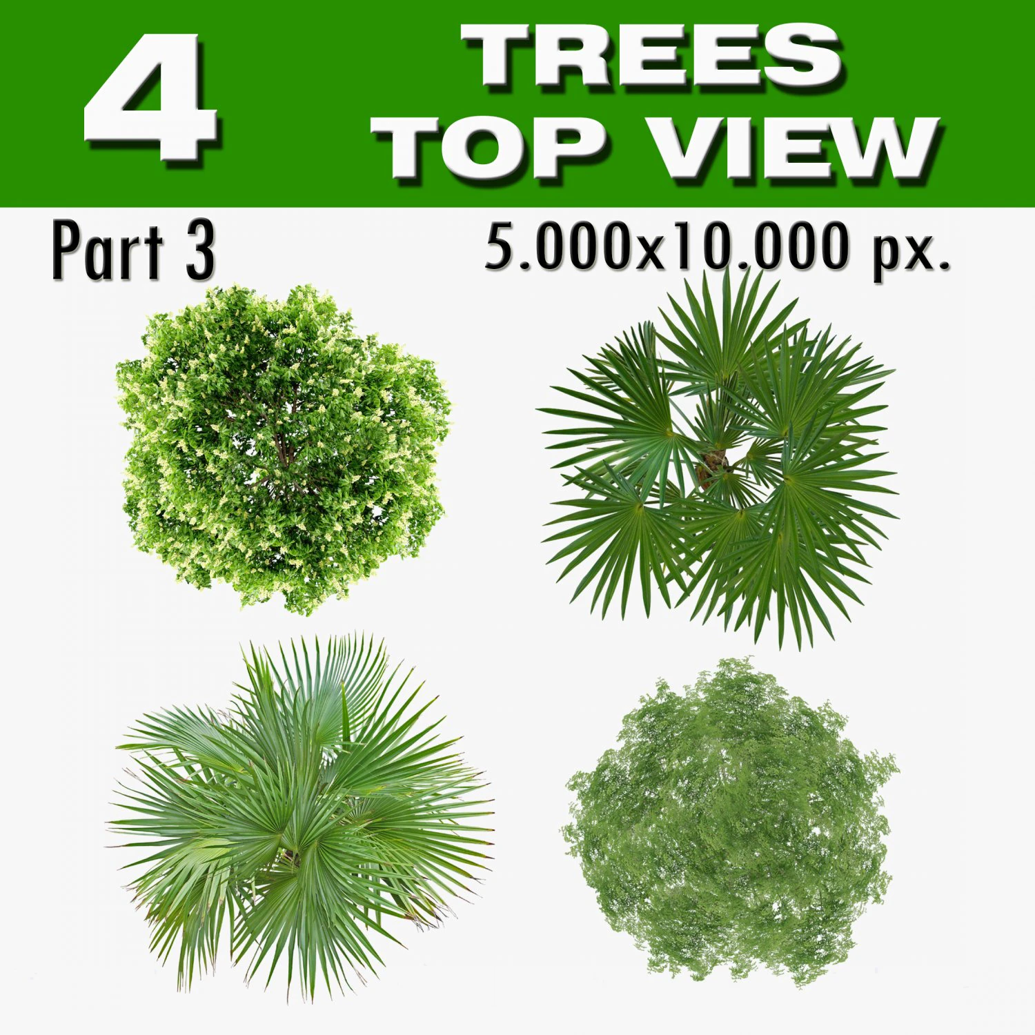 top view trees-part 3 CG Textures .c4d .max .obj .3ds .fbx .stl .blend