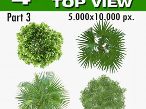 top view trees-part 3 CG Textures