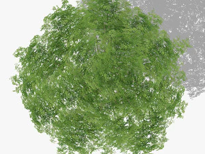 top view trees-part 3 CG Textures