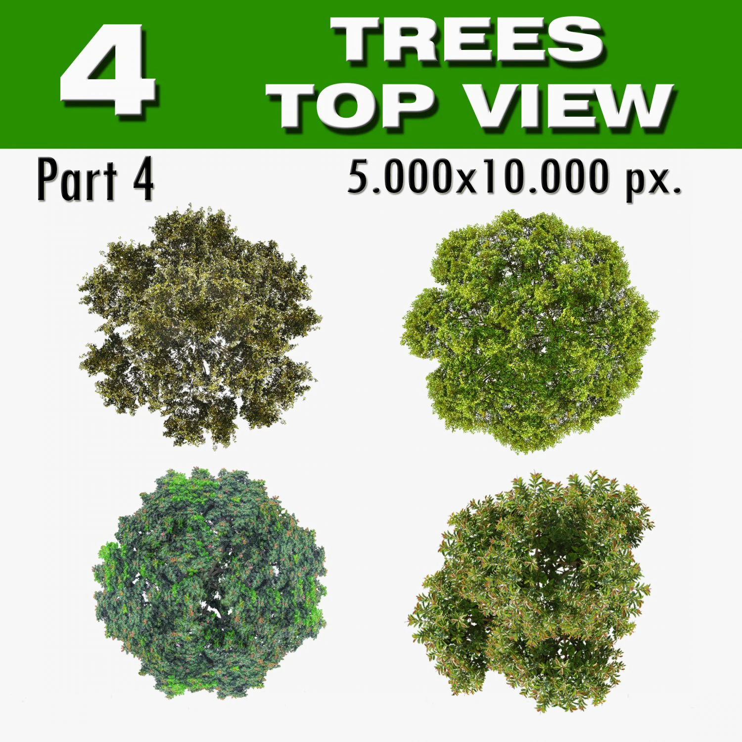 top view trees-part 4 CG Textures .c4d .max .obj .3ds .fbx .stl .blend 