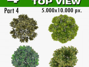 top view trees-part 4 CG Textures