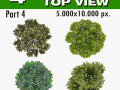 top view trees-part 4 CG Textures