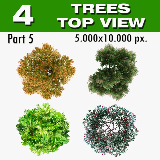 top view trees-part 5 CG Textures .c4d .max .obj .3ds .fbx .stl .blend 
