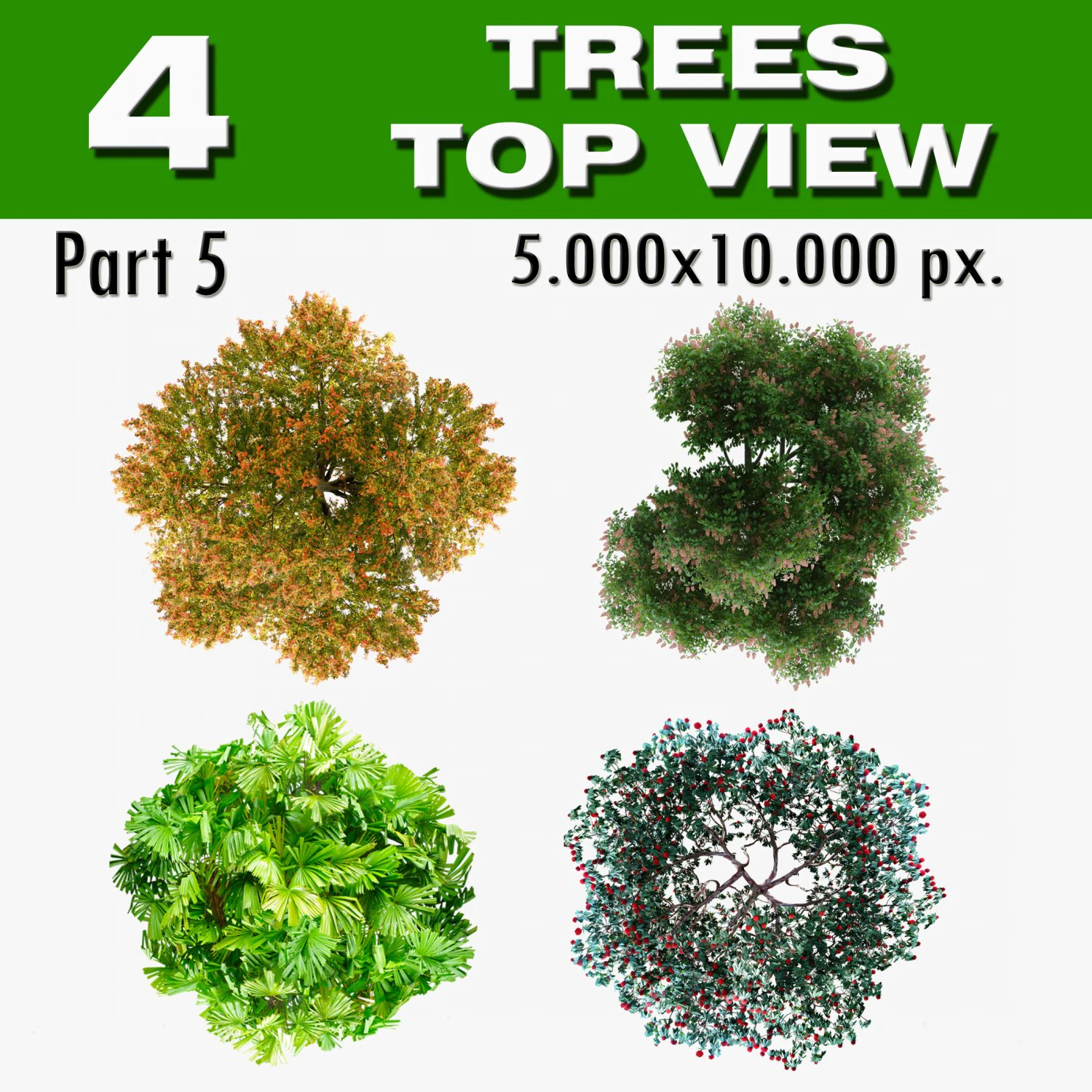 top view trees-part 5 CG Textures .c4d .max .obj .3ds .fbx .stl .blend 