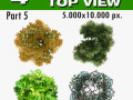 top view trees-part 5 CG Textures
