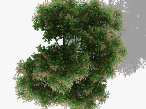 top view trees-part 5 CG Textures