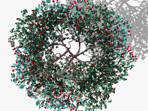 top view trees-part 5 CG Textures