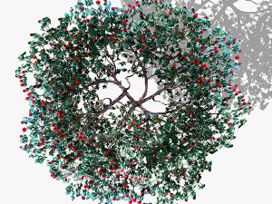 top view trees-part 5 CG Textures