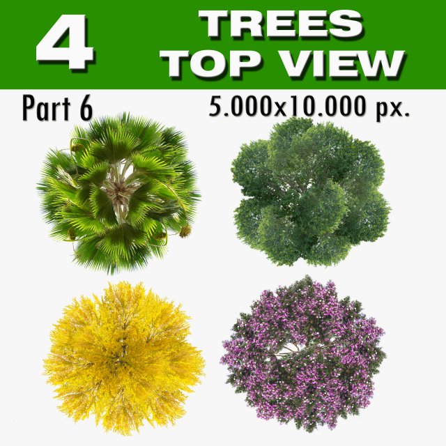 top view trees-part 6 CG 纹理 .c4d .max .obj .3ds .fbx .stl .blend 
