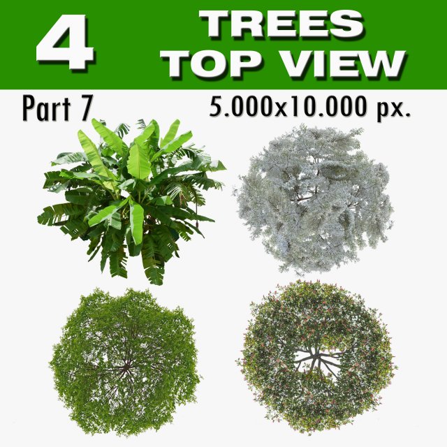 Top view trees-part 7 CG 텍스쳐 .c4d .max .obj .3ds .fbx .stl .blend 