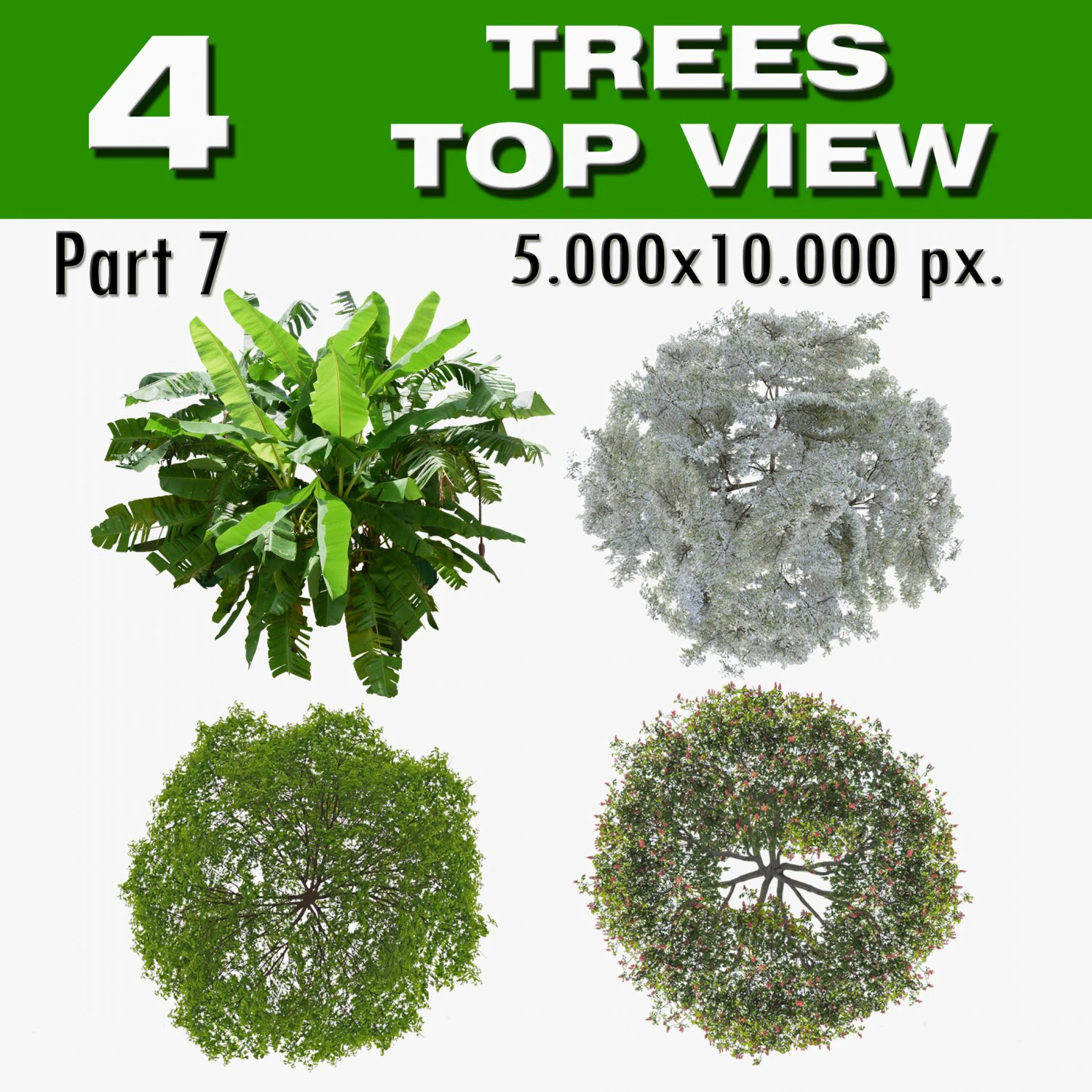 Top view trees-part 7 CG Textures .c4d .max .obj .3ds .fbx .stl .blend 