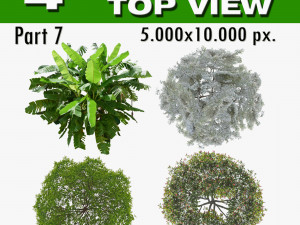 top view trees-part 7 CG Textures