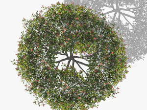 Top view trees-part 7 CG Textures