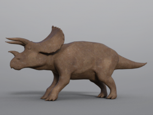 triceratops 3D Model