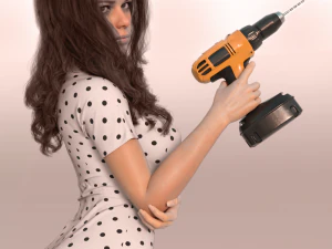 denver 3D Model