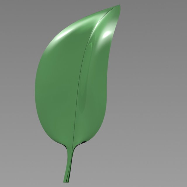 leaf- soft 3D Model .c4d .max .obj .3ds .fbx .stl .blend 