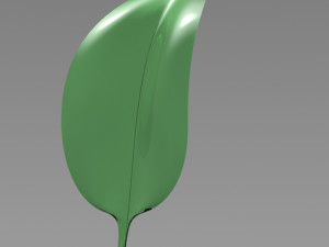 leaf- soft 3D मॉडल