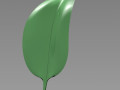 leaf- soft Modèle 3D
