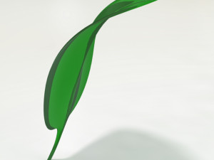 leaf- soft 3D Model