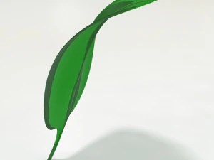 leaf- soft 3D Model