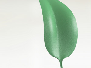 leaf- soft 3D Model
