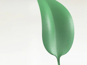 leaf- soft 3D Model