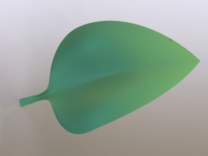 leaf- soft 3D Model